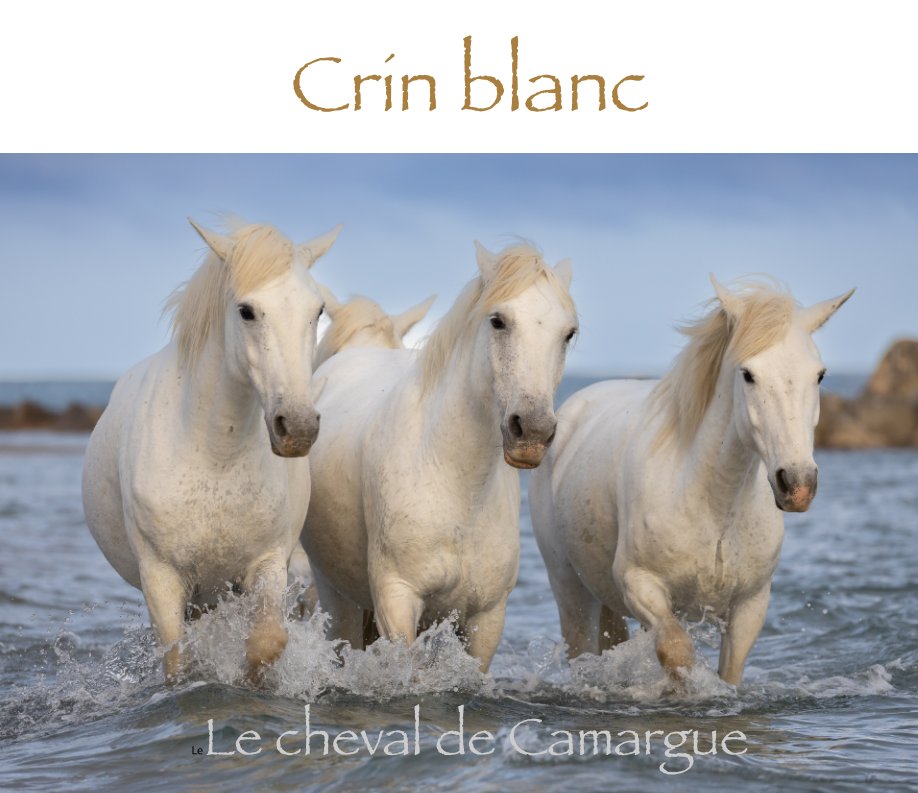 View Crin blanc by Hélène Chouinard