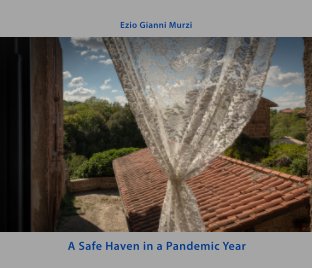 A Safe Haven in a Pandemic Year book cover