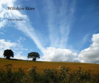 Wiltshire Skies book cover