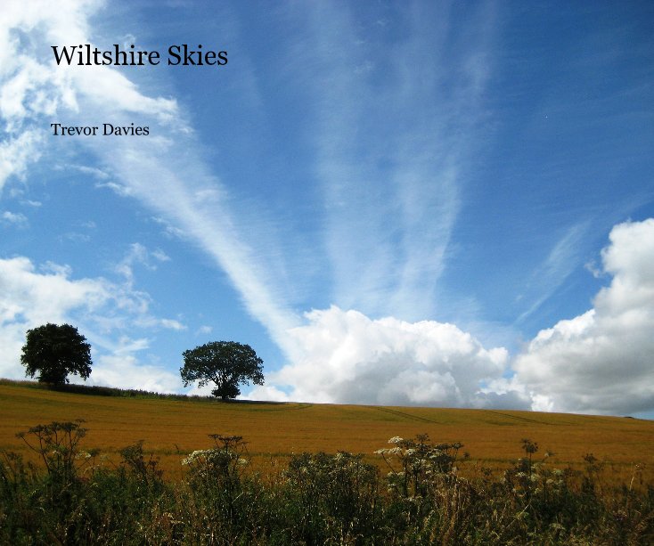 Visualizza Wiltshire Skies di Trevor Davies