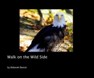 Walk on the Wild Side book cover