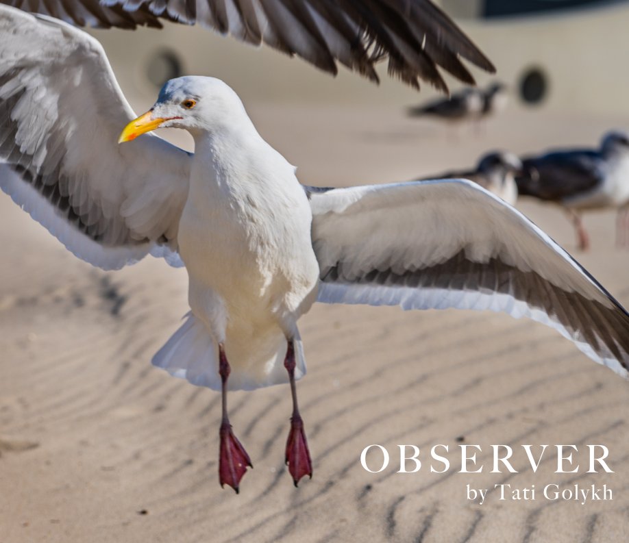 View Observer by Tati Golykh
