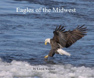 Eagles of the Midwest book cover