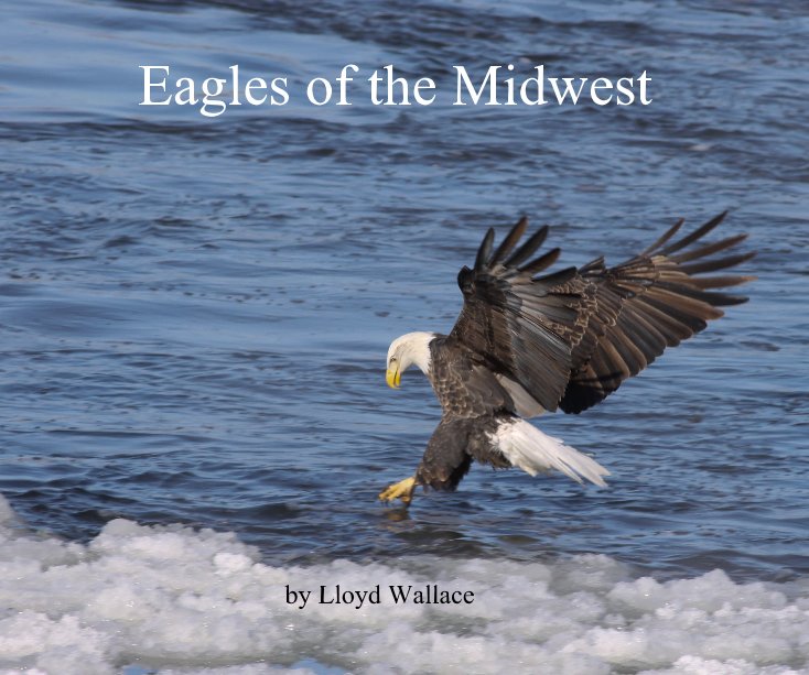 View Eagles of the Midwest by Lloyd Wallace