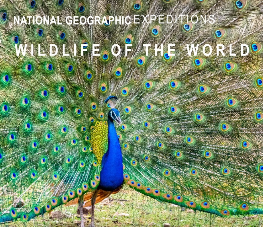Visualizza Wildlife of the World 2023 di Bill Hallier