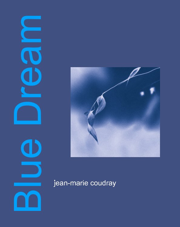 View Blue Dream by jean-marie coudray