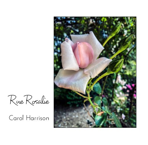 View Rue Rosalie by Carol Harrison