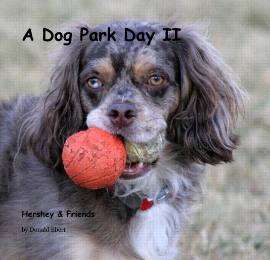 View A Dog Park Day II by Donald Ebert