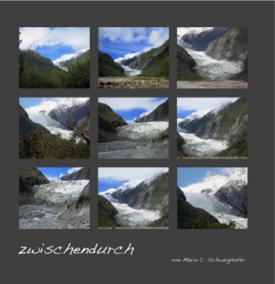 zwischendurch book cover