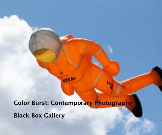Color Burst: Contemporary Photography book cover