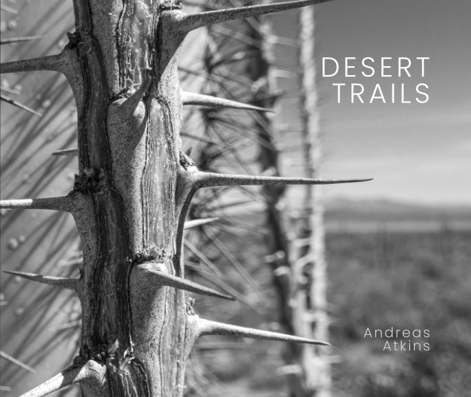 View Desert Trails by Andreas Atkins