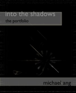 into the shadows, special edition book cover