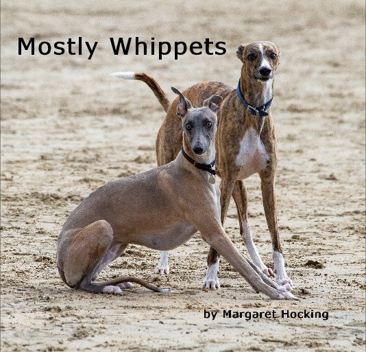 Bekijk Mostly Whippets op Margaret Hocking