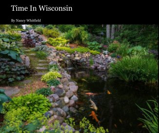Time In Wisconsin book cover