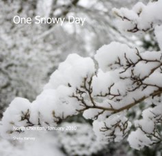 One Snowy Day book cover