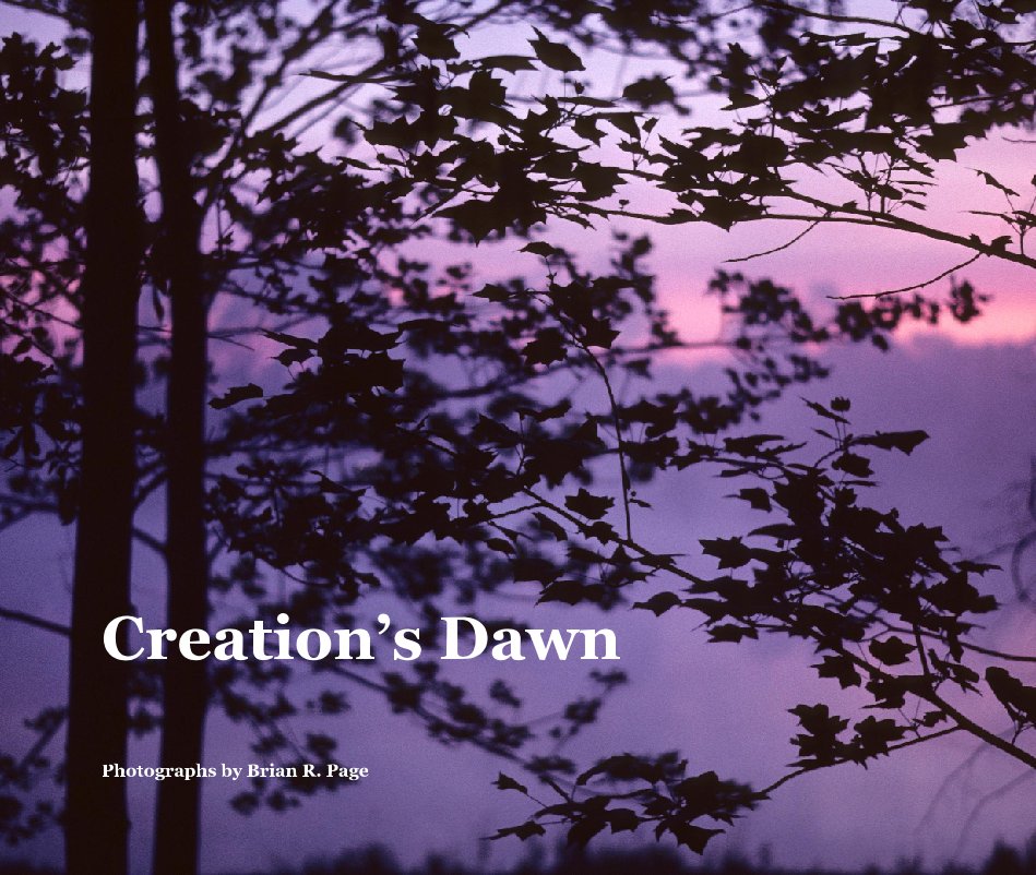 View Creation's Dawn by Photographs by Brian R. Page