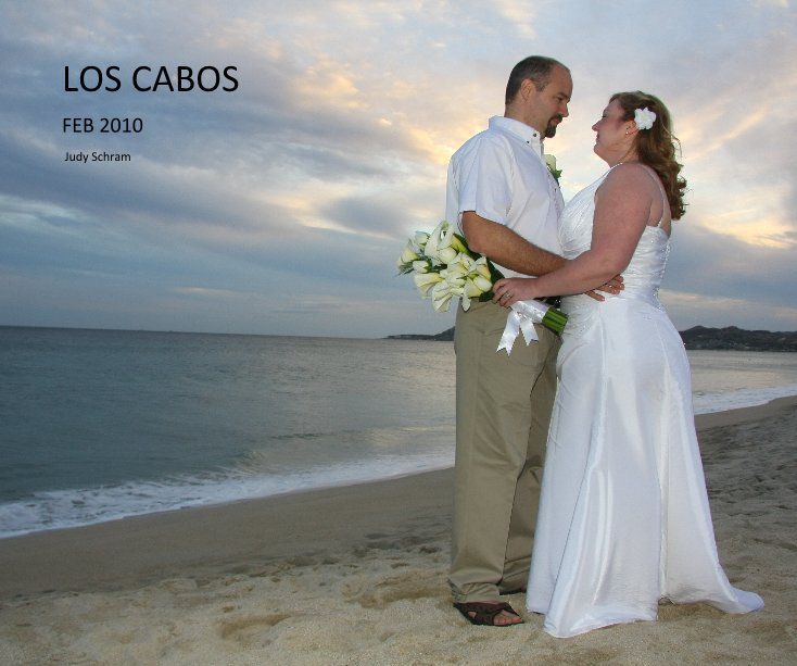 View LOS CABOS by Judy Schram