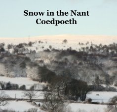 Snow in the Nant Coedpoeth book cover