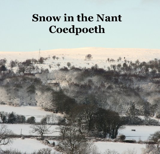 View Snow in the Nant Coedpoeth by Elaine Hagget