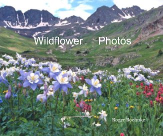 Wildflower Photos book cover