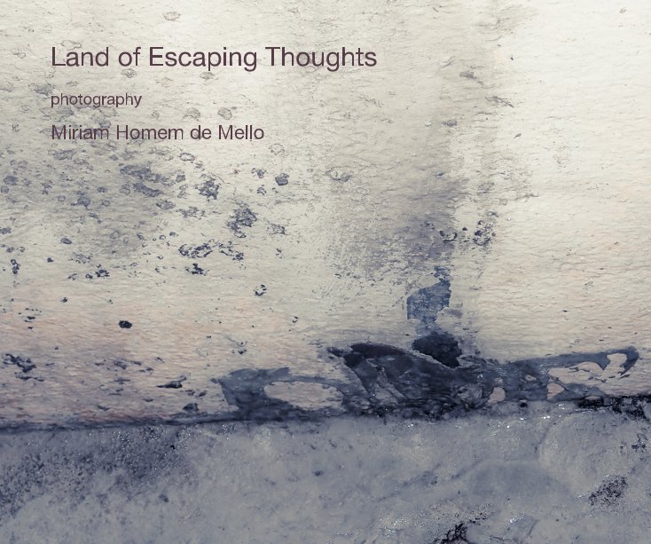 View Land of Escaping Thoughts by Miriam Homem de Mello