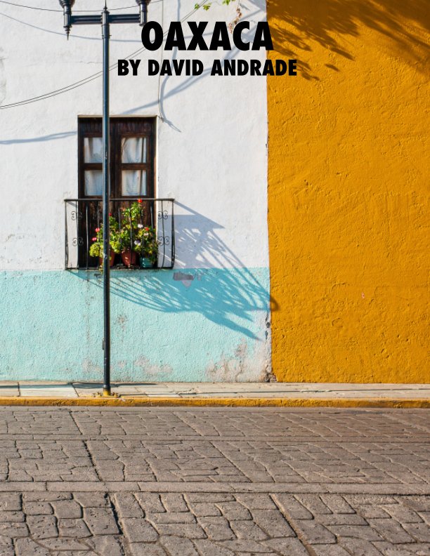 View Oaxaca by David Andrade
