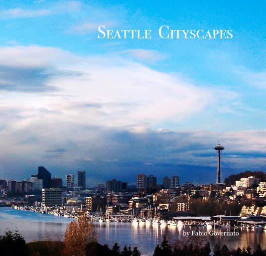 View Seattle Cityscapes by Fabio Governato