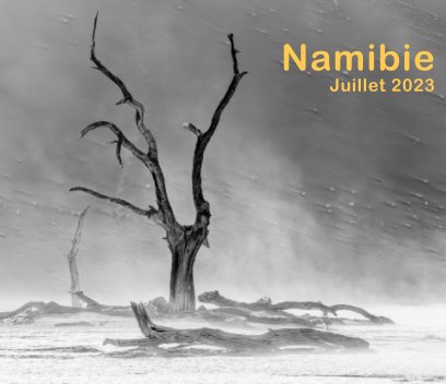 Namibie 2023 book cover