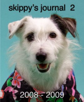skippy's journal  2 book cover