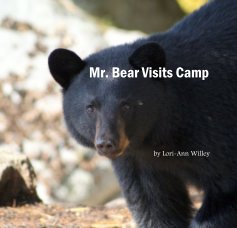 Mr. Bear Visits Camp book cover