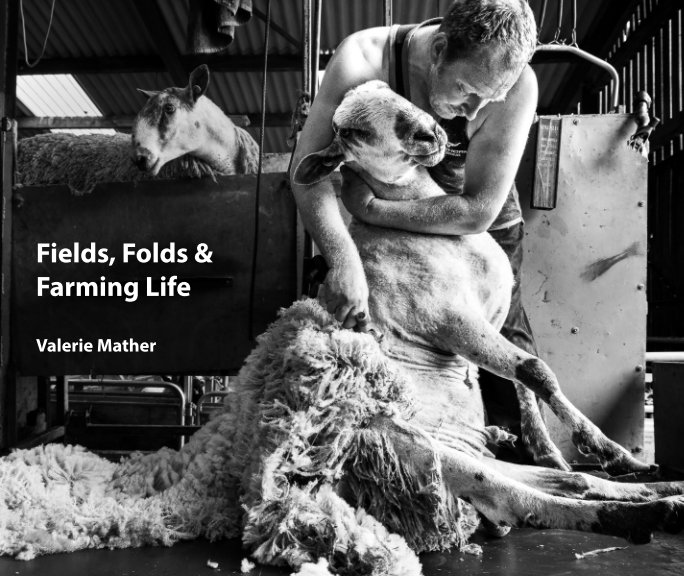 View Fields, Folds and Farming Life by Valerie Mather