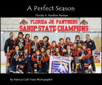 A Perfect Season book cover