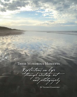 These Wondrous Moments (Revised) book cover