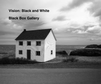 Vision: Black and White book cover