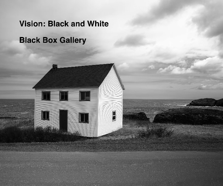 View Vision: Black and White by Black Box Gallery