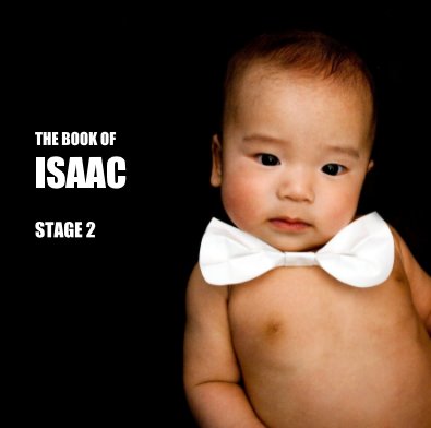THE BOOK OF ISAAC STAGE 2 book cover