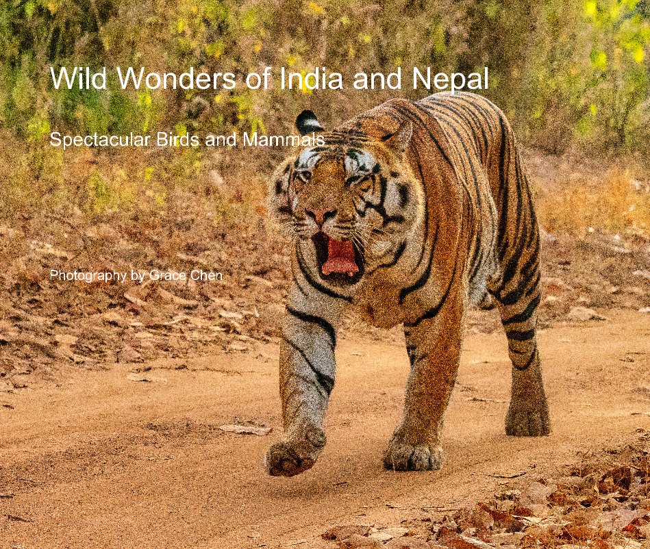 Visualizza Wild Wonders of India and Nepal di Photography by Grace Chen
