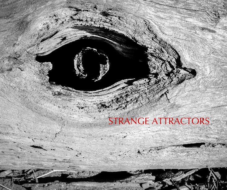 Ver Strange Attractors por Edwin Maynard