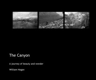 The Canyon book cover
