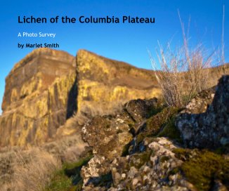 Lichen of the Columbia Plateau book cover