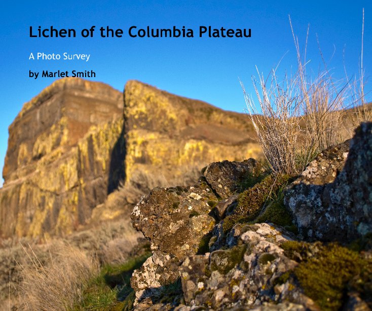 View Lichen of the Columbia Plateau by Marlet Smith