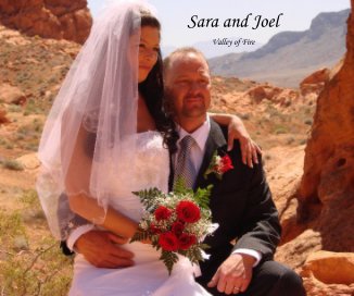 Sara and Joel book cover