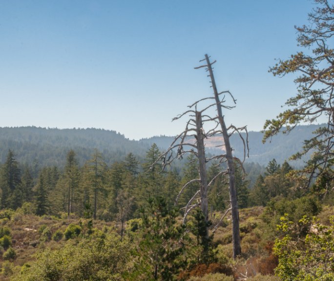 View The Great Outdoors by Presley Lara