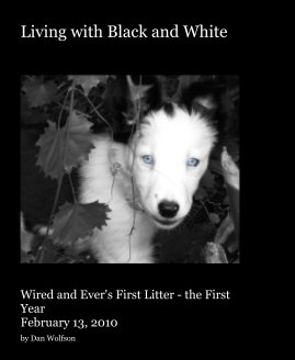 Living with Black and White book cover