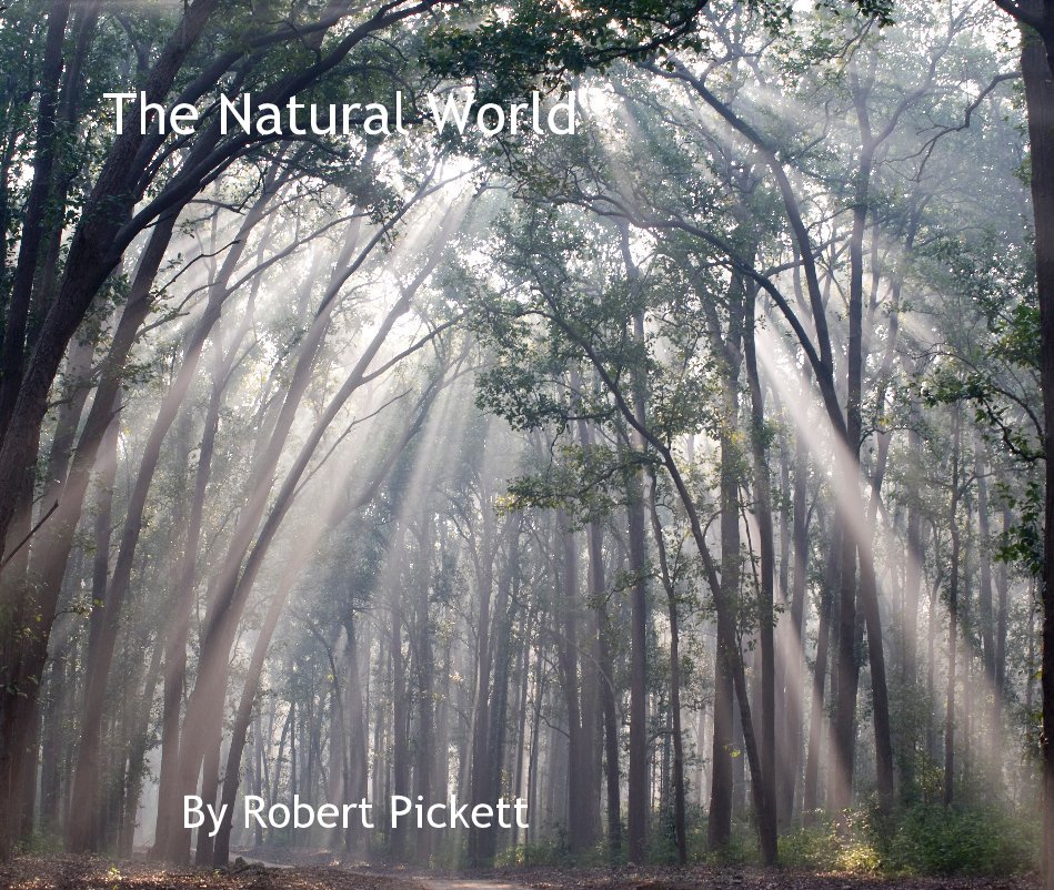 View The Natural World by Robert Pickett