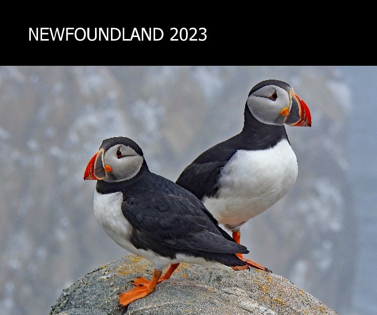 View Newfoundland 2023 by Barbara and Paul Wallace