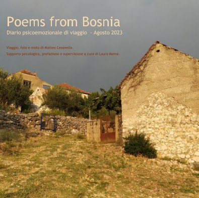 Poems from Bosnia book cover