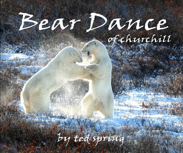 View Bear Dance of churchill by Ted Spring