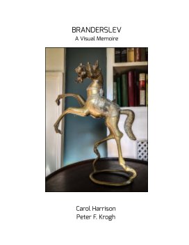 Branderslev book cover