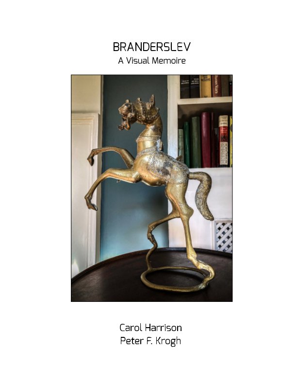 View Branderslev by Carol Harrison, Peter F. Krogh